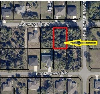 Great location for this building lot in Palm Bay, with easy access to I95 and other major roads. Short drive to shopping, restaurants and other local amenities. Buy now and build later, buyers do your due diligence on building requirements.