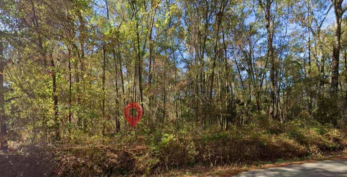 Build Your North Florida Getaway Near Lake Iamonia! Don't miss this 0.21-acre lot in the peaceful Iamonia Lodge subdivision, just steps from Van Brunt Landing and beautiful Lake Iamonia. Whether you're looking to build a weekend retreat, vacation cabin, or investment property, this location offers the perfect blend of nature and convenience. Outdoor enthusiasts will love the easy access to boating, bass fishing, kayaking, canoeing, birdwatching, and wildlife viewing on the 5,700-acre Lake Iamonia. Spend your days launching from Van Brunt Landing, relaxing at Kate Ireland Park, or enjoying great food and live music at nearby Fish Camp Tally. You're also just a short drive from shopping, dining, Publix at Bannerman Village, and all the conveniences of Tallahassee while still enjoying the quiet charm of lakeside living.
Whether you're seeking recreation, relaxation, or your next investment, this affordable lot puts you in the heart of one of North Florida's best outdoor destinations.