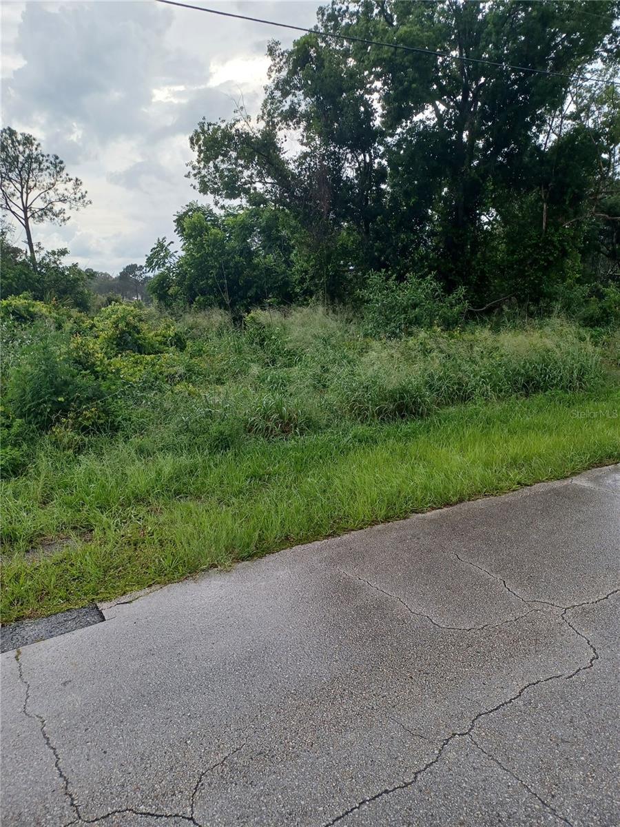 DELTONA LAKES UNIT 32 REP TR B & F - Land