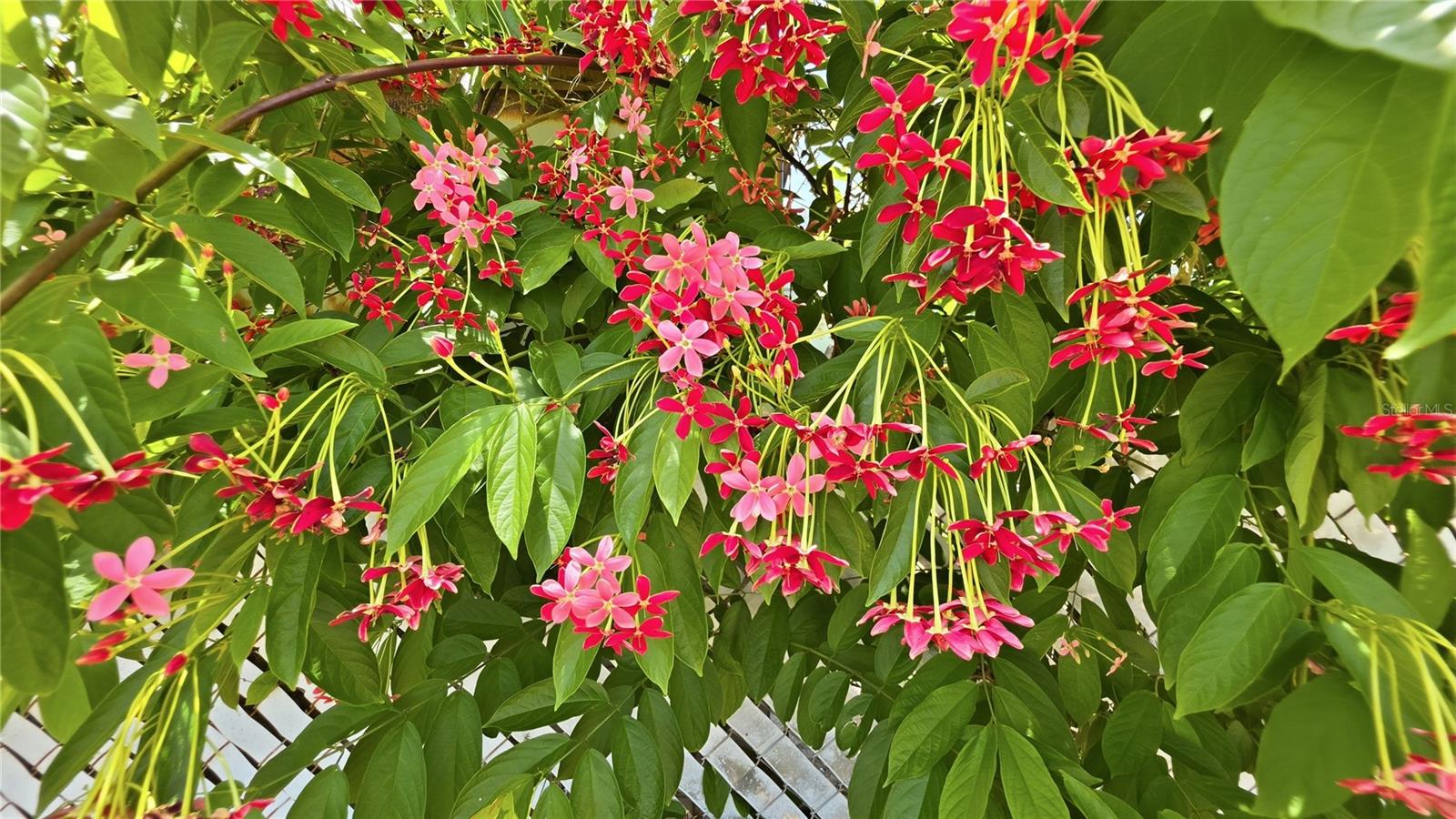 HOLIDAY GARDENS ESTATES - Residential