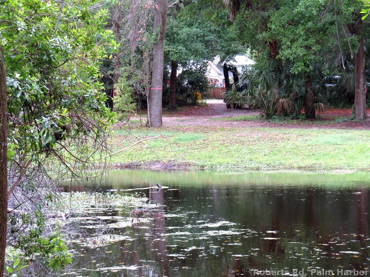 TAMPA & TARPON SPGS LAND CO - Land