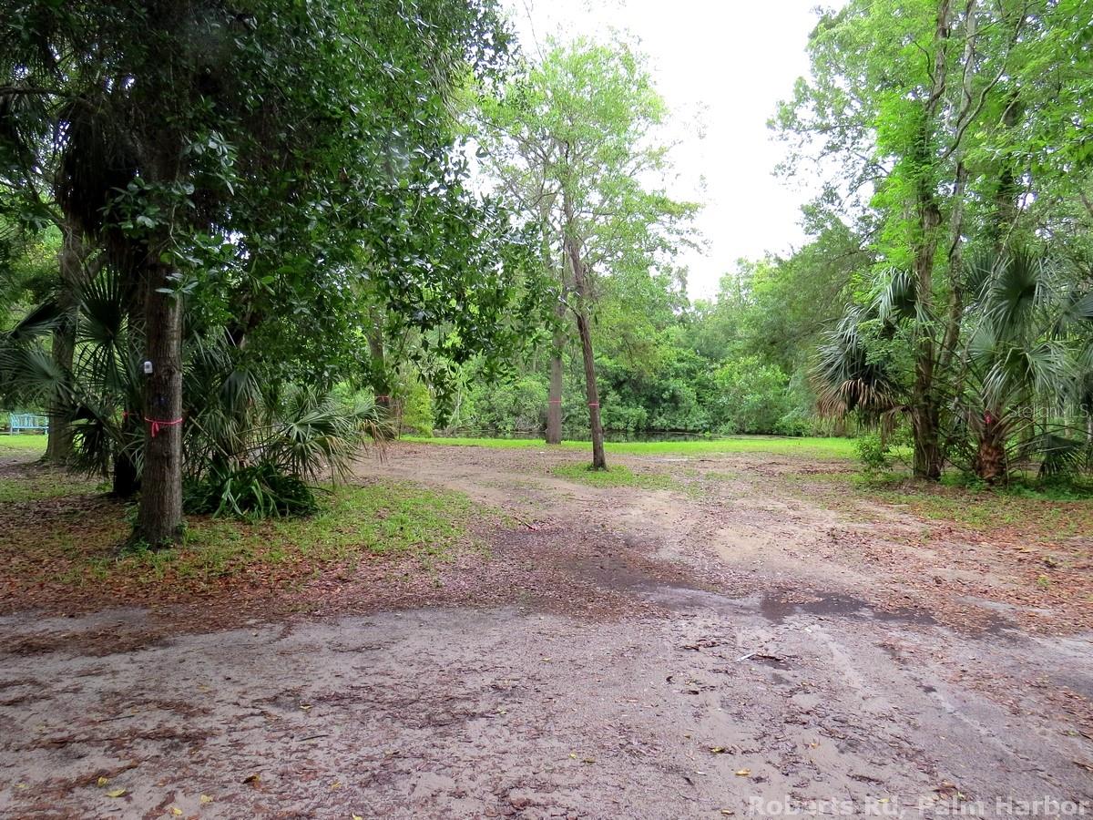 TAMPA & TARPON SPGS LAND CO - Land