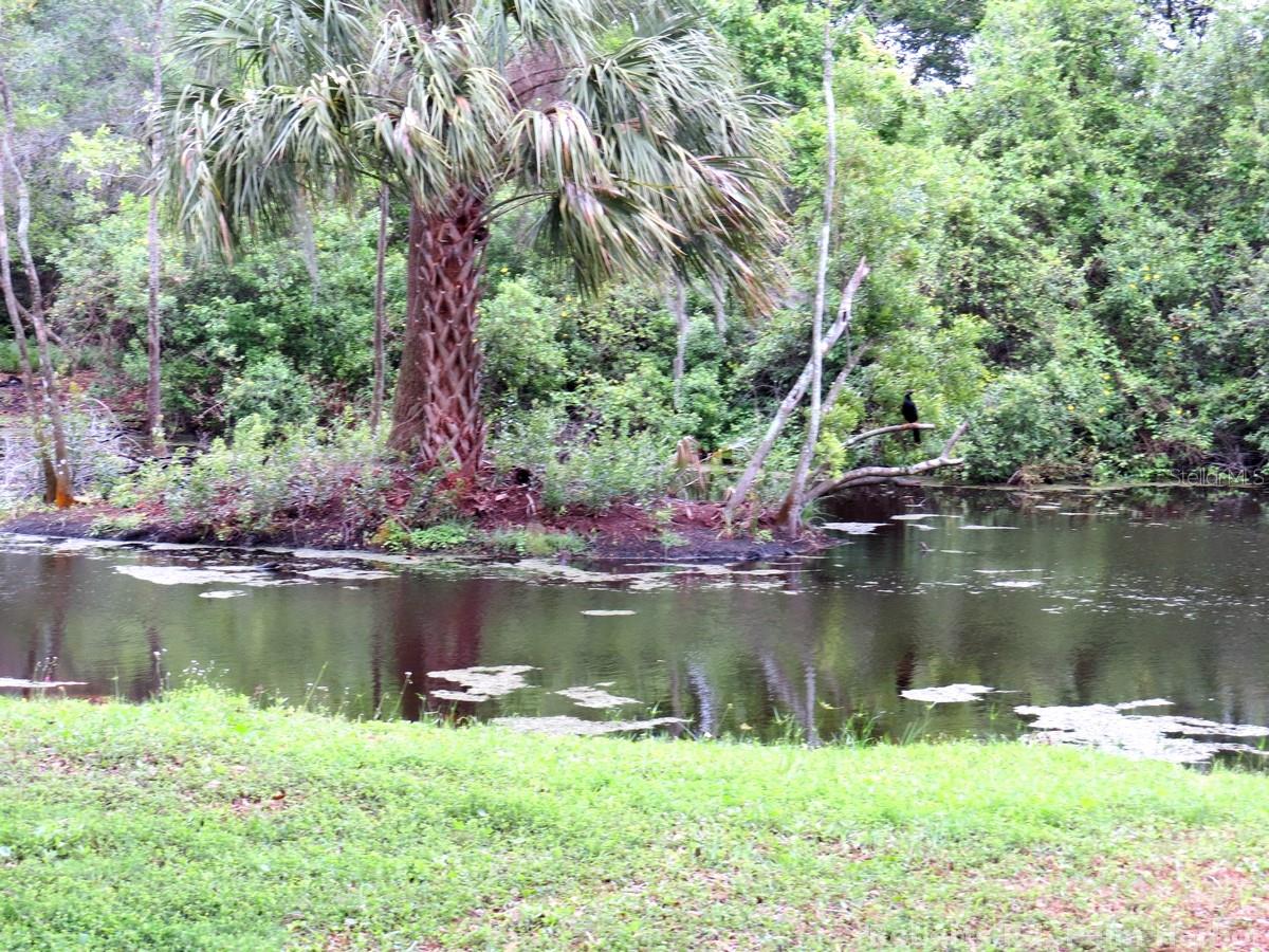TAMPA & TARPON SPGS LAND CO - Land