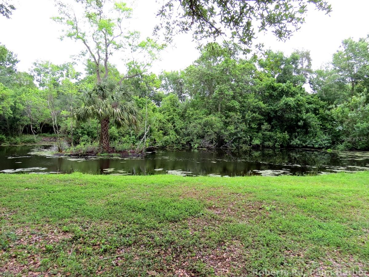 TAMPA & TARPON SPGS LAND CO - Land