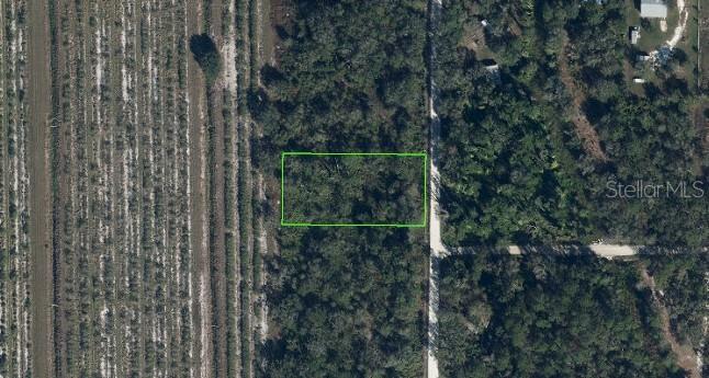 Discover the perfect opportunity to own 1 acre in the peaceful Sebring Acres community of Venus, Florida. This beautiful vacant parcel offers the ideal setting for your dream home, weekend getaway, or future investment property. Surrounded by natural Florida beauty and quiet rural surroundings, this property provides privacy and tranquility while still being conveniently located within driving distance to Lake Placid and Sebring.

Zoned AU (Agricultural), this versatile lot allows for site-built homes, manufactured homes, and light agricultural use, giving you flexibility to create the lifestyle you want. Power is available nearby, and road access makes reaching the property easy and convenient.

Whether you're looking to build now or invest in Florida land for the future, this high-and-dry 1-acre parcel offers endless potential in a growing area. Enjoy country living, starry skies, and plenty of room for recreation, gardening, animals, or simply relaxing away from the hustle and bustle.

Don’t miss your chance to own a slice of Old Florida charm!