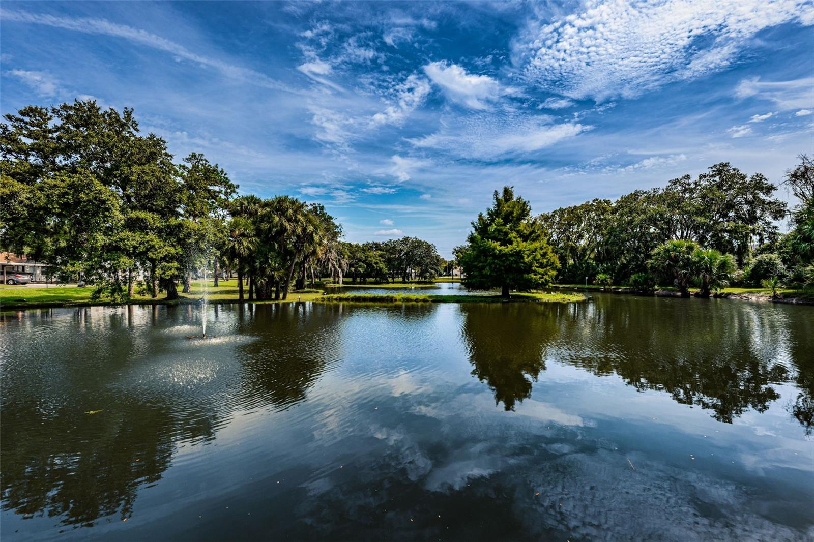 PINES NEW PORT RICHEY - Residential