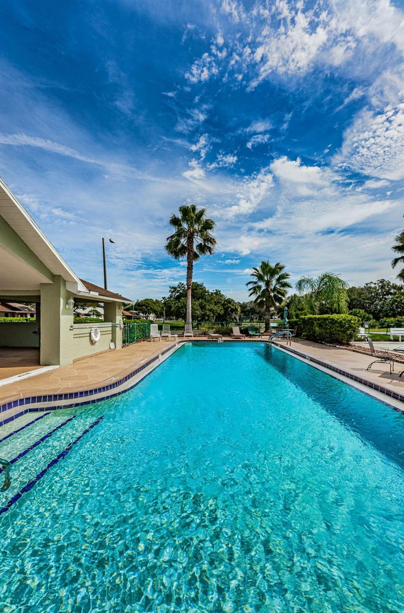 PINES NEW PORT RICHEY - Residential