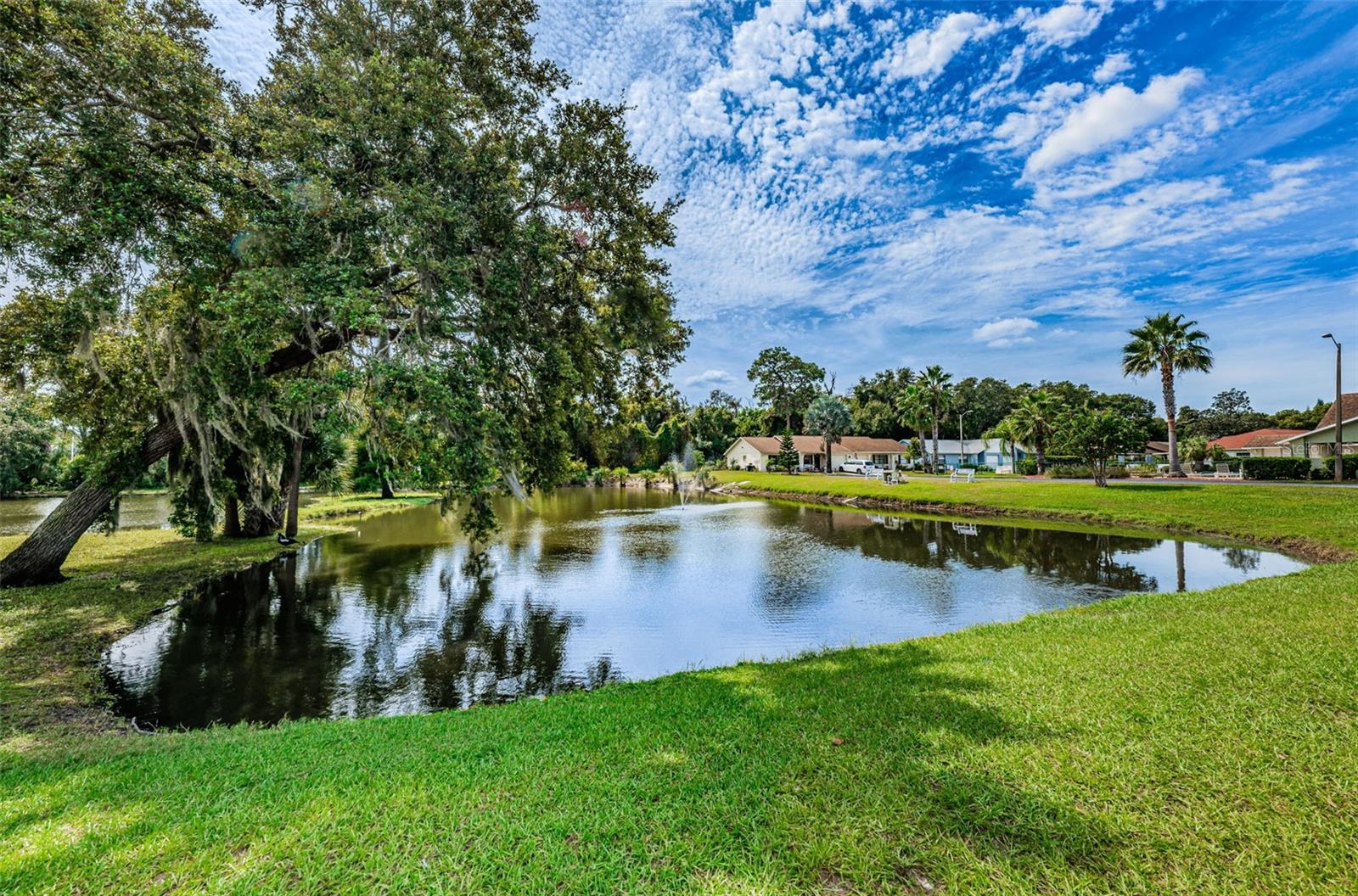PINES NEW PORT RICHEY - Residential