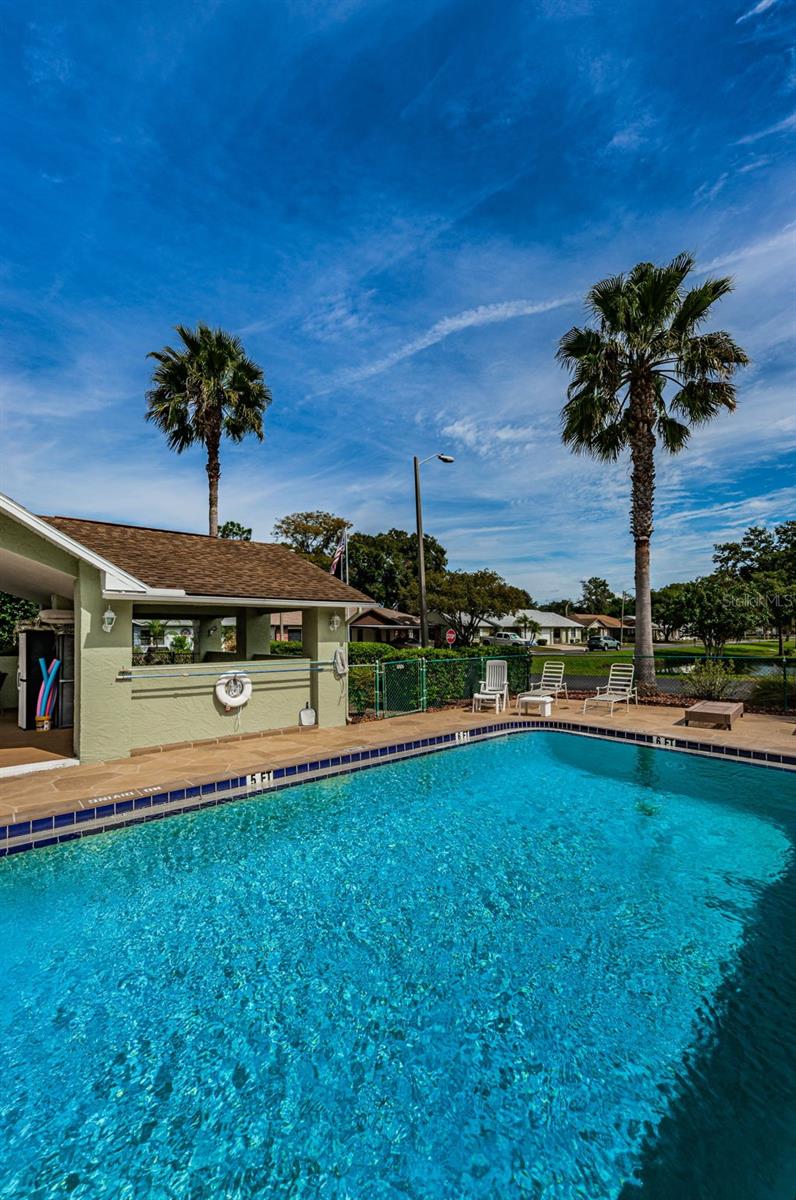 PINES NEW PORT RICHEY - Residential