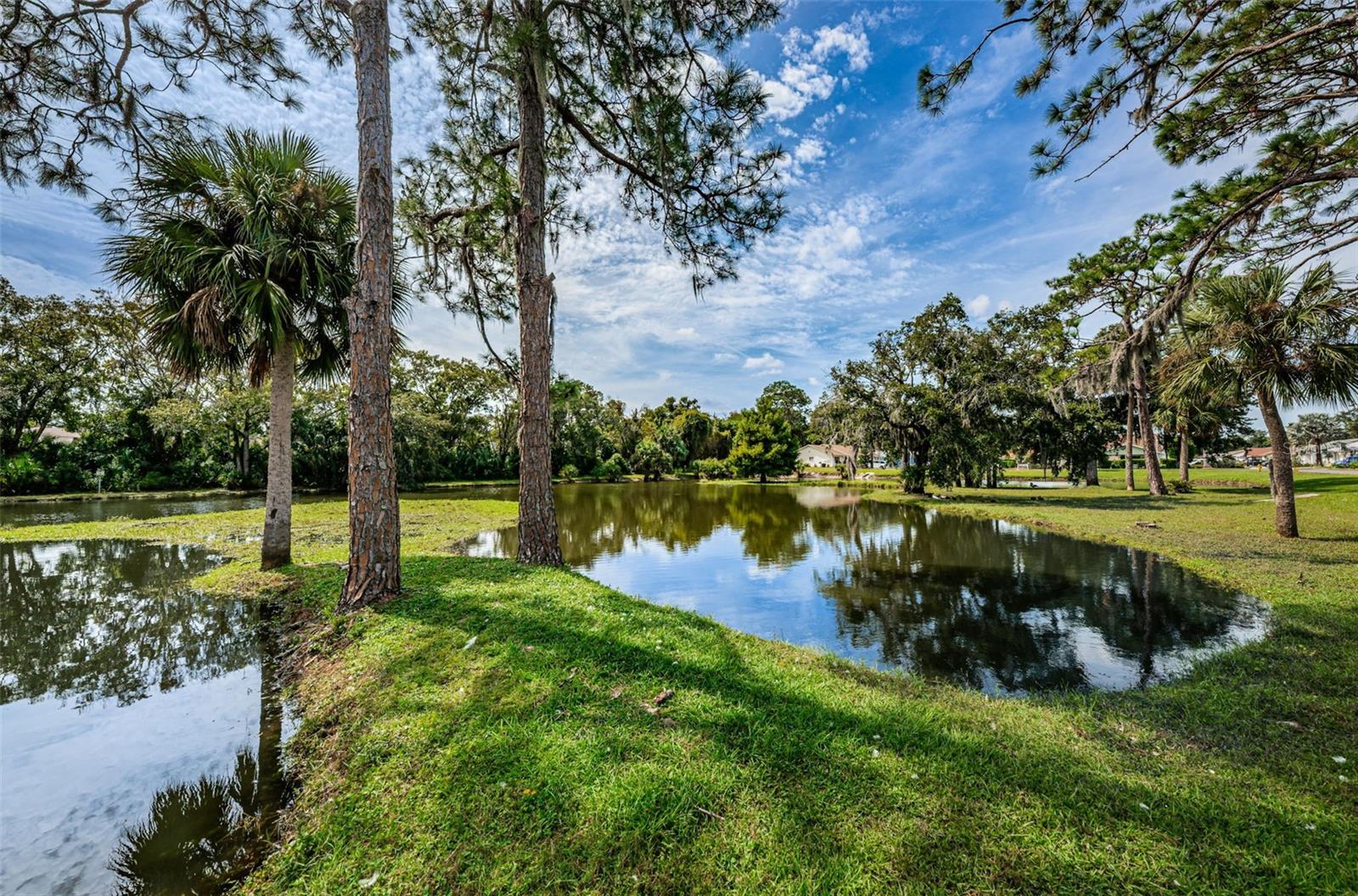 PINES NEW PORT RICHEY - Residential