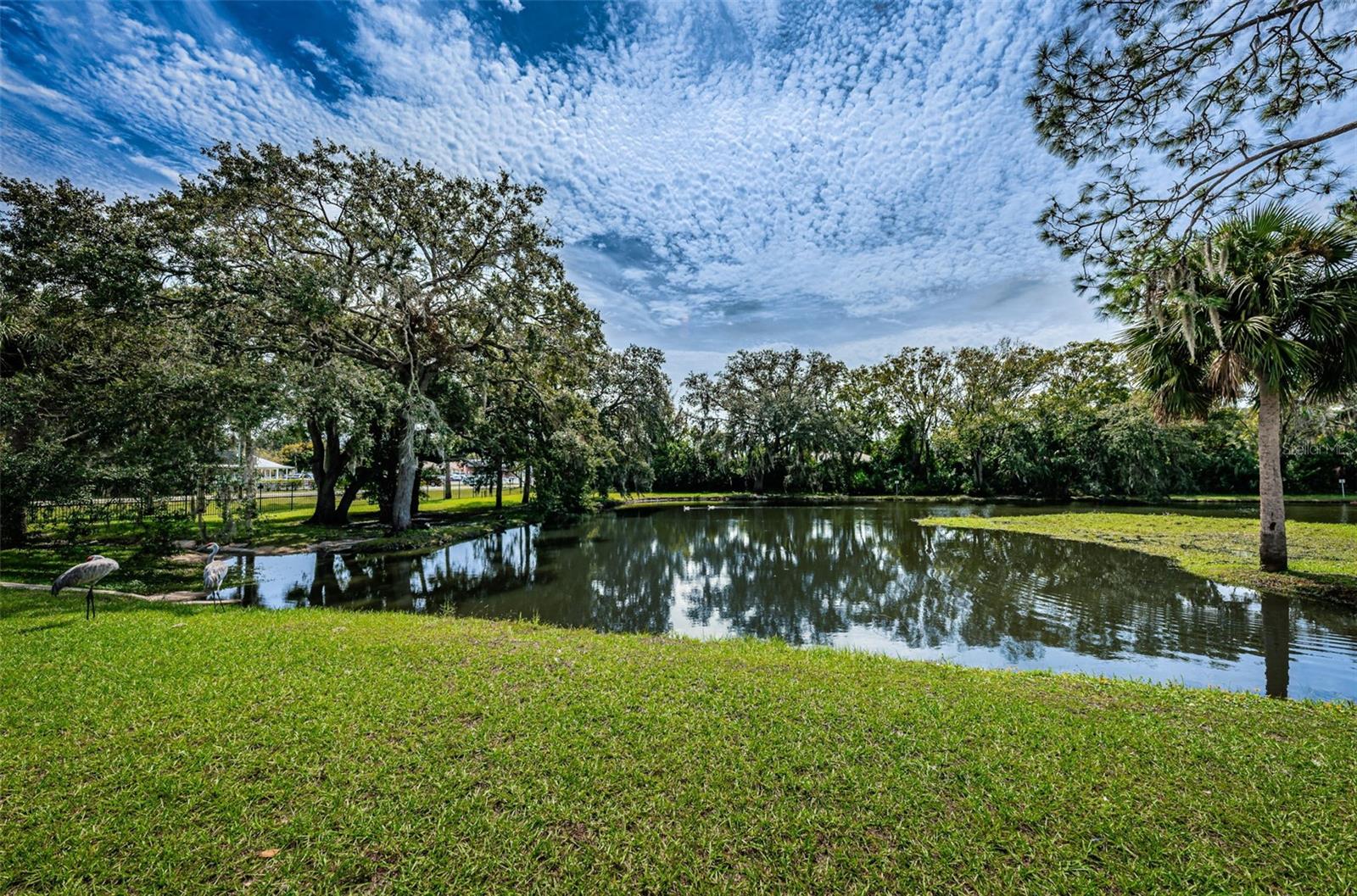 PINES NEW PORT RICHEY - Residential