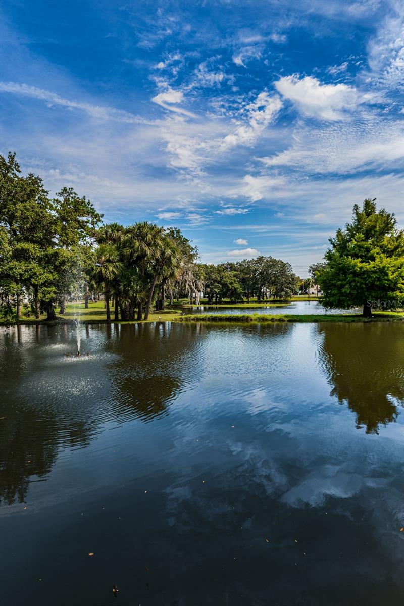 PINES NEW PORT RICHEY - Residential