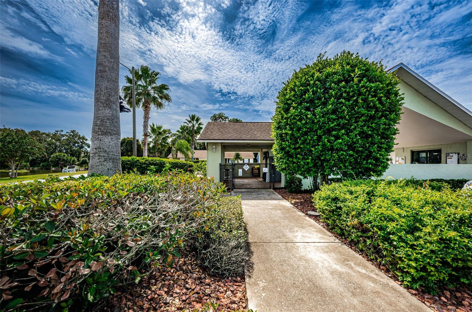 PINES NEW PORT RICHEY - Residential