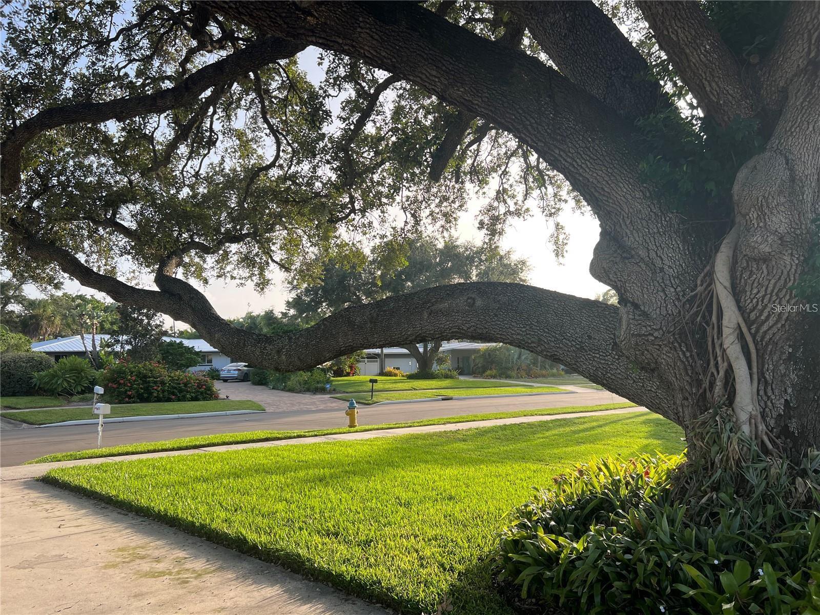 BALLENTINE MANOR ESTATES - Residential