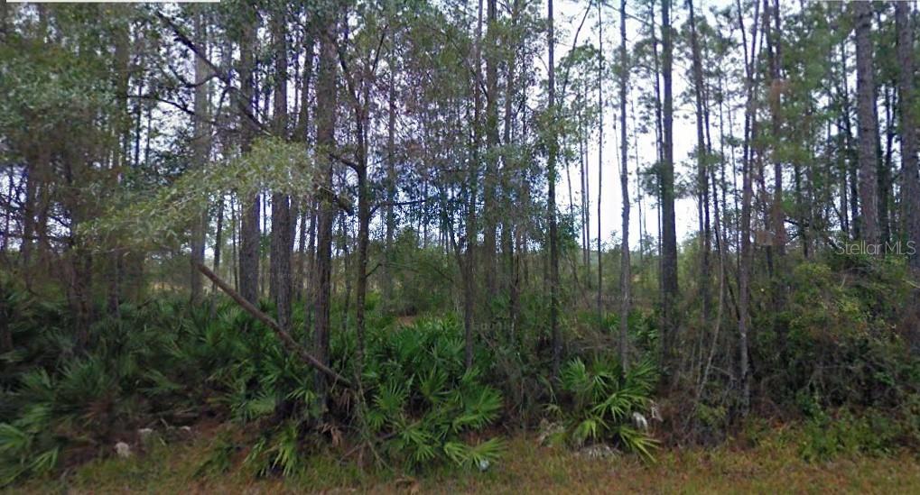 Nice vacant lot.