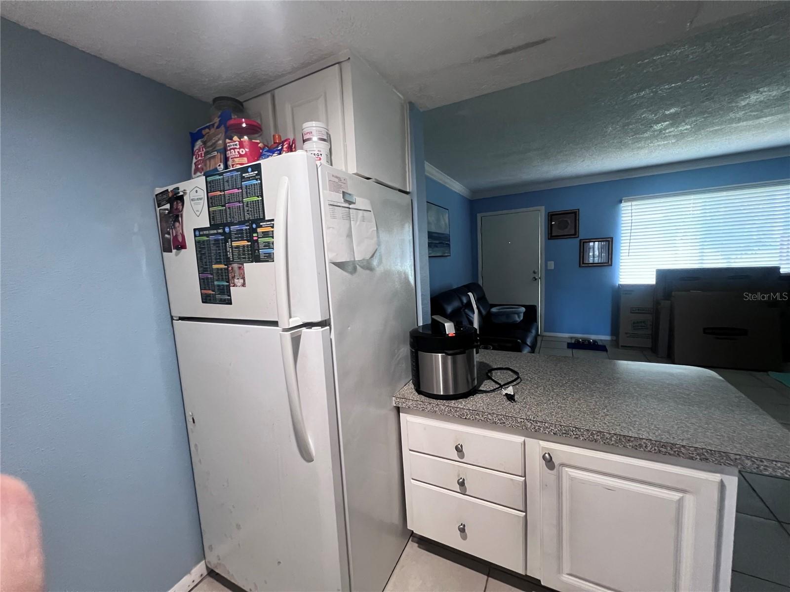 WATERSIDE AT CRANES ROOST A CONDO COMMUNITY - Residential Income