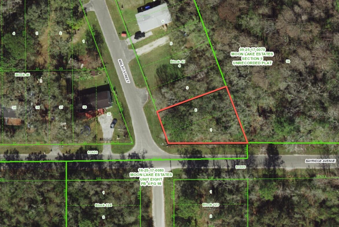 Mobile homes and site built homes Allowed!  Paved Road!  Not in a flood zone!  Approximately .18 Acre, wooded lot with electricity services on the street.  Build your dream home today or invest in your future!  Located in the Moon Lake Estates subdivision in Pasco  County.   Welcome to Florida's Nature Coast, abundant with rivers and springs, state forests and preserves, and the waters of the Gulf coast.  Land and water adventures await your arrival.   Go hiking, biking, riding, boating and more.  Shopping, dining, and entertainment are all nearby.   Easy access to the Suncoast Parkway, I-75, US 19 and US 41 make the Tampa Bay area, Orlando, and Ocala all an easy trip.   Buy this property today for a quick cash price of $17,900.  That's far below nearby comparable sales and WAY below nearby properties on the market!  
The property is a vacant lot and does not yet have an official assigned address.  The address used is from online sources and is for location and marketing purposes only.  Use the address next door of 11020 Malati Street, New Port Richey to navigate to the area.  Or use  28.317327, -82.607812 with your GPS or Maps App to navigate directly to the site.  From the corner of Moon Lake Road and Mystic Ave, head east on Mystic Ave for approximately .4 mile.  Turn right (south) on Lisbon Street for .2 mile.  Turn left (east) on Bayridge Ave for .2 mile.  Turn left (North) on Malati Street.  The subject is at the northeast corner of Malati Street and Bayridge Ave.  Please see the attached maps and aerials.