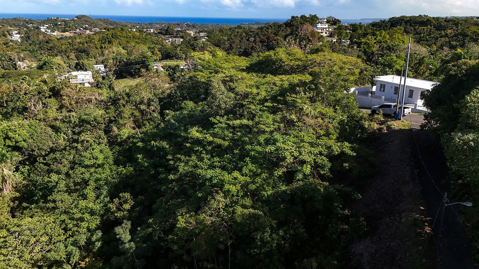 Located in the beautiful hills of Rincón, this 1,965.95sqm lush tropical lot offers a rare opportunity to build in one of Puerto Rico’s most desirable coastal towns. Surrounded by mature trees and vibrant vegetation, the property provides a peaceful, private setting while still being just minutes from Rincón’s world-class surf beaches, restaurants, and vibrant town center.
The lot features road access and a naturally elevated landscape, allowing for creative building possibilities that take advantage of the surrounding greenery and breezes. This property is ideal for a main residence with a guest house, rental unit, studio, or extended family living space.
This flexibility opens the door to multiple possibilities — from building a private tropical home with a detached casita, to creating a small eco-style retreat or income-producing property in one of the island’s most visited destinations.
The surrounding environment offers the tranquility of rural living while maintaining close proximity to the conveniences that make Rincón such a sought-after location. Within a short drive, you can reach popular surf breaks, beaches, cafes, local markets, yoga studios, and the lively sunset scene that defines the town’s coastal lifestyle.
With strong tourism demand and limited available land in the area, this property presents a unique investment opportunity for buyers looking to develop in a high-growth market while still enjoying the natural beauty and relaxed atmosphere of Puerto Rico’s west coast.
18.34102° N, 67.21378° W