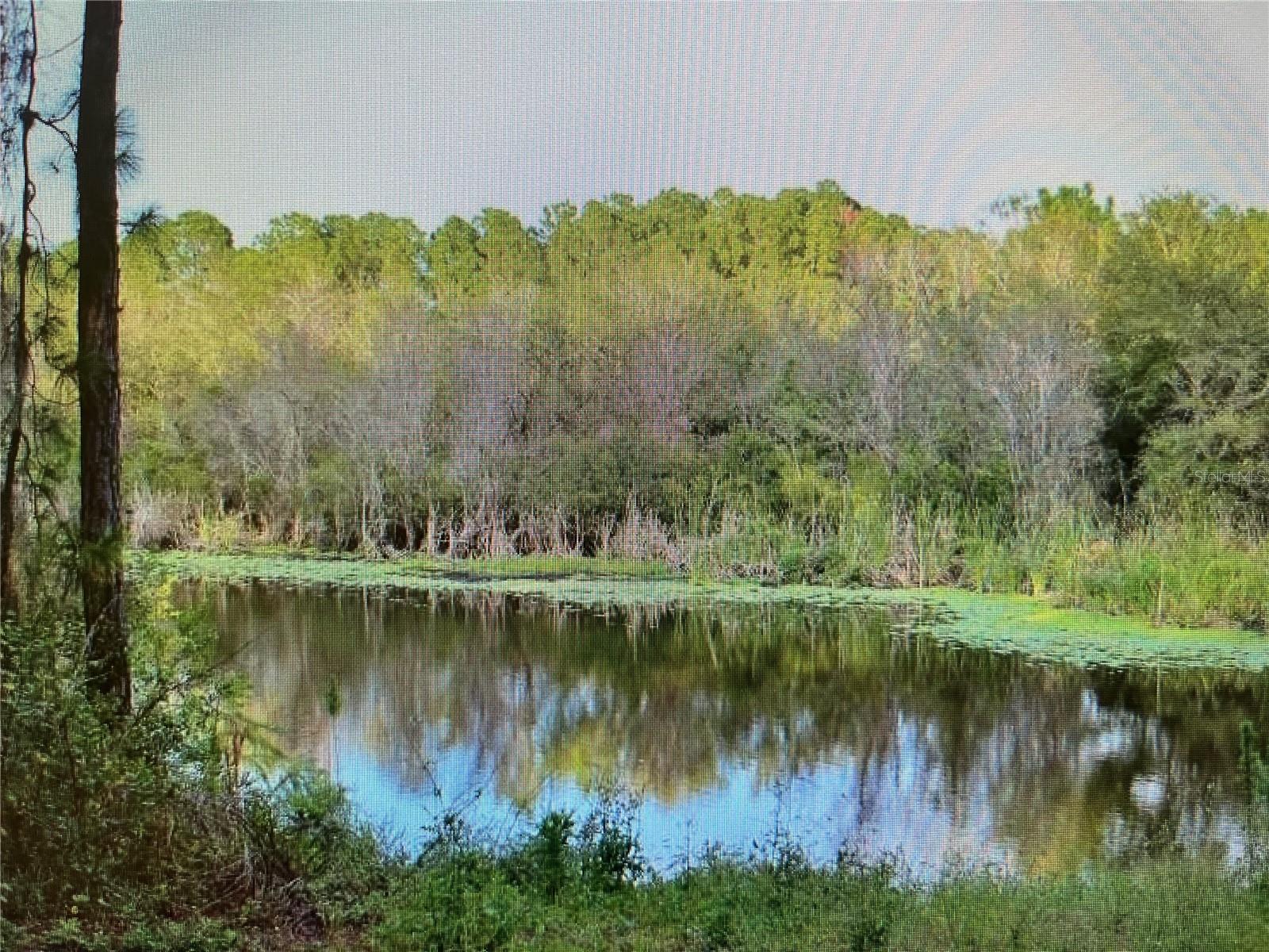 NORTH PORT CHARLOTTE ESTATES ADD 02 - Land