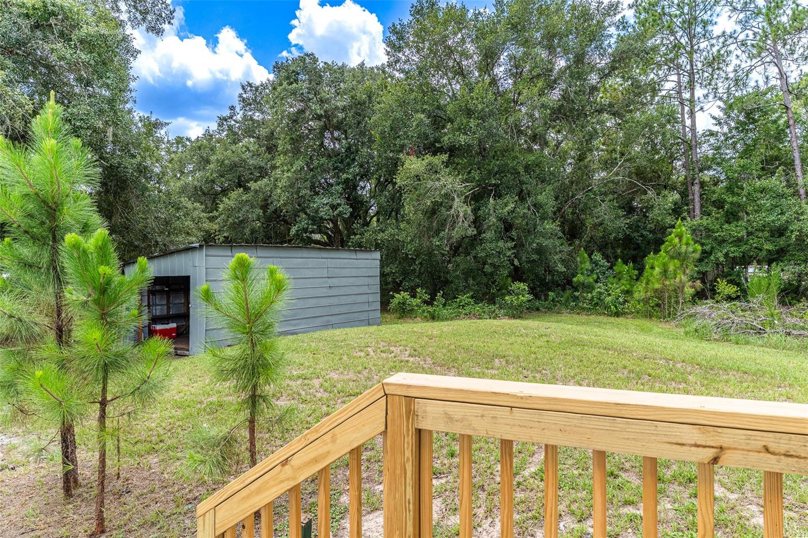 WOODS, THE UNIT 1 REPLAT - Residential