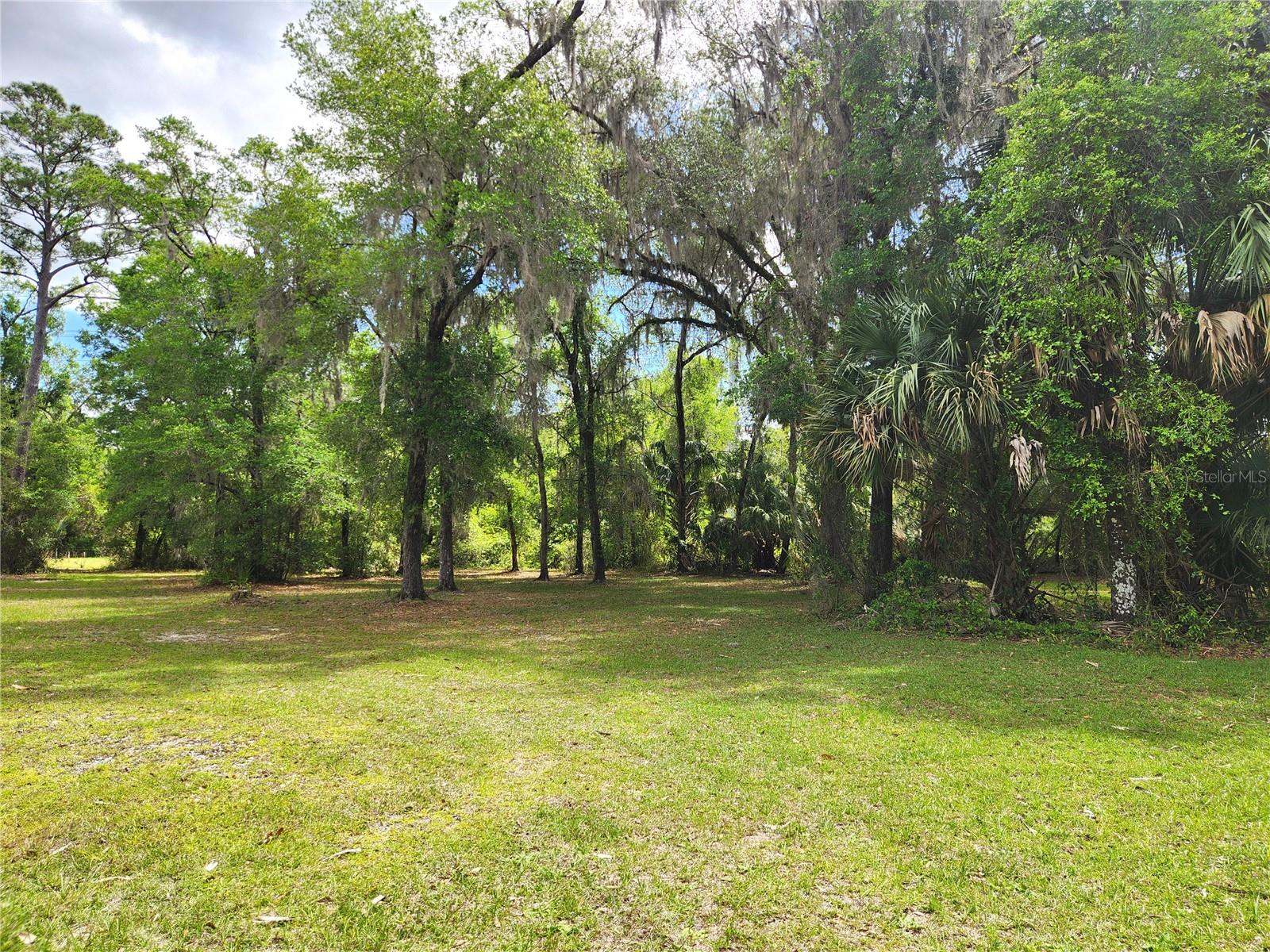 TOWN OF ORANGE SPRINGS - Residential