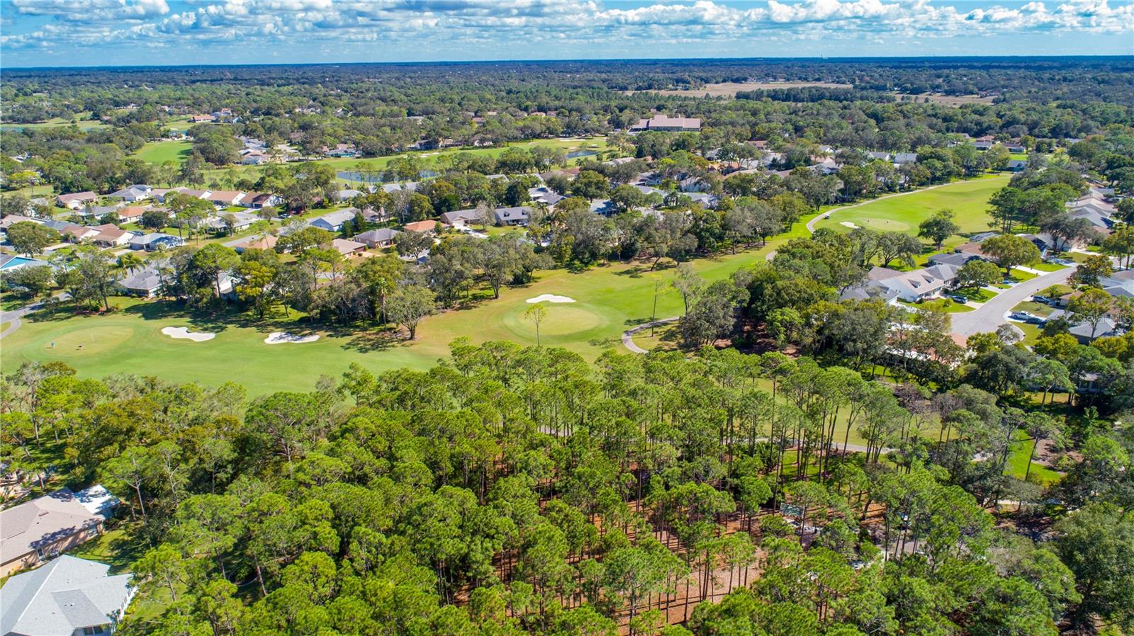 TMBR PINES PN GR VL - Residential