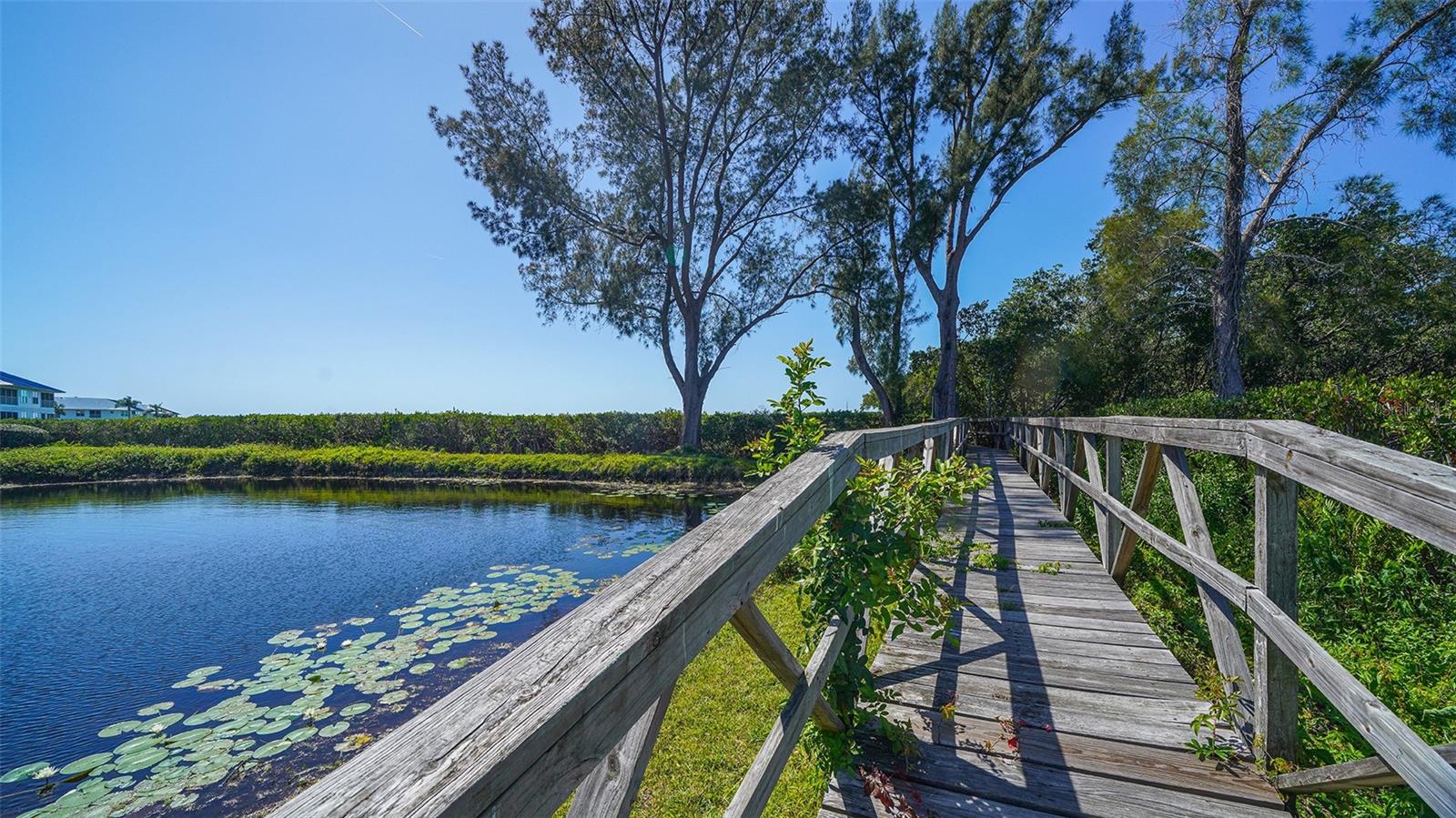 PERICO BAY CLUB - Residential