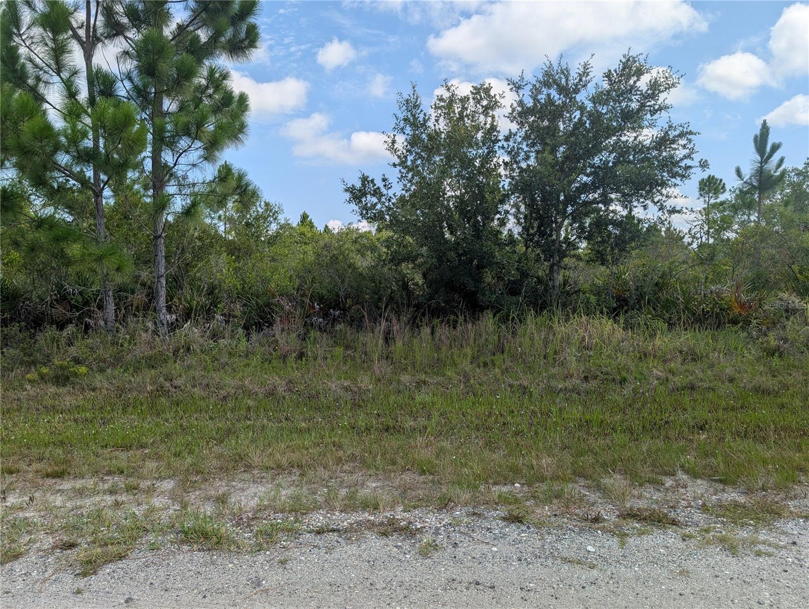 INDIAN LAKE ESTATES - Land