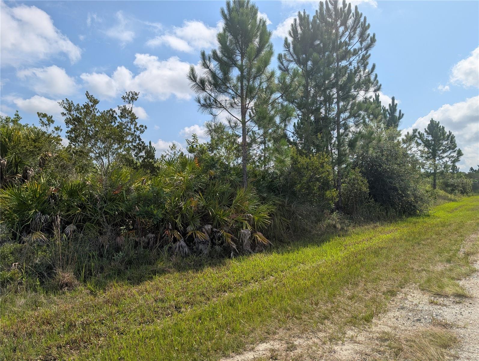 INDIAN LAKE ESTATES - Land