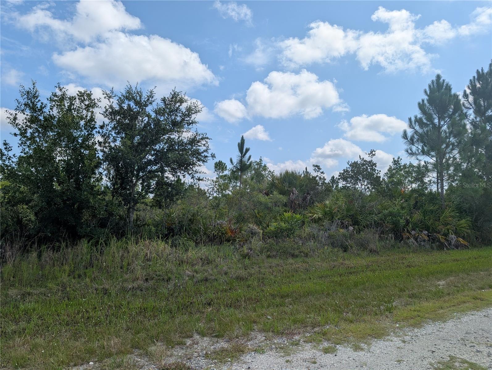 INDIAN LAKE ESTATES - Land