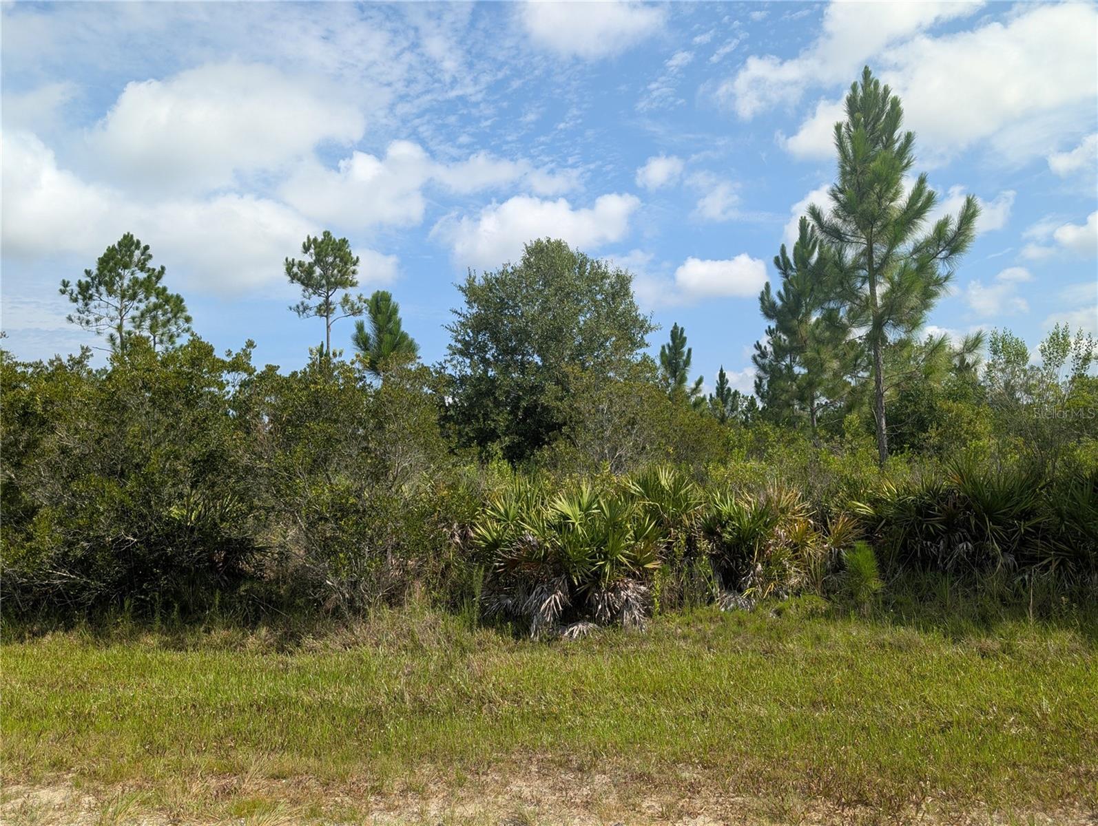 INDIAN LAKE ESTATES - Land