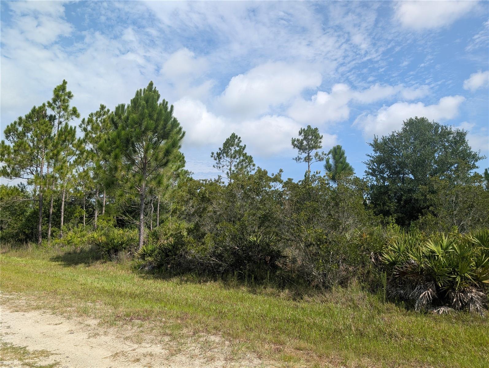 INDIAN LAKE ESTATES - Land
