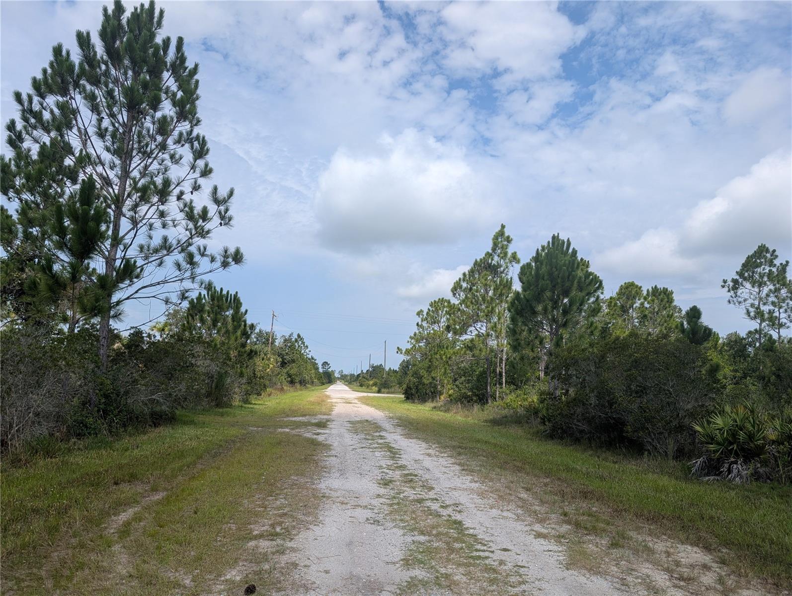 INDIAN LAKE ESTATES - Land