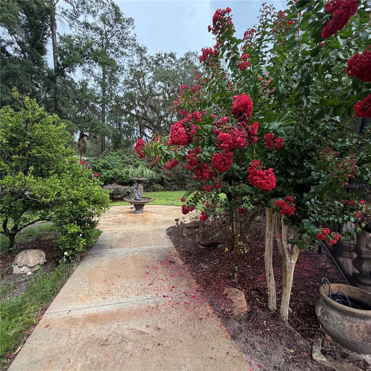 SHENANDOAH - Residential