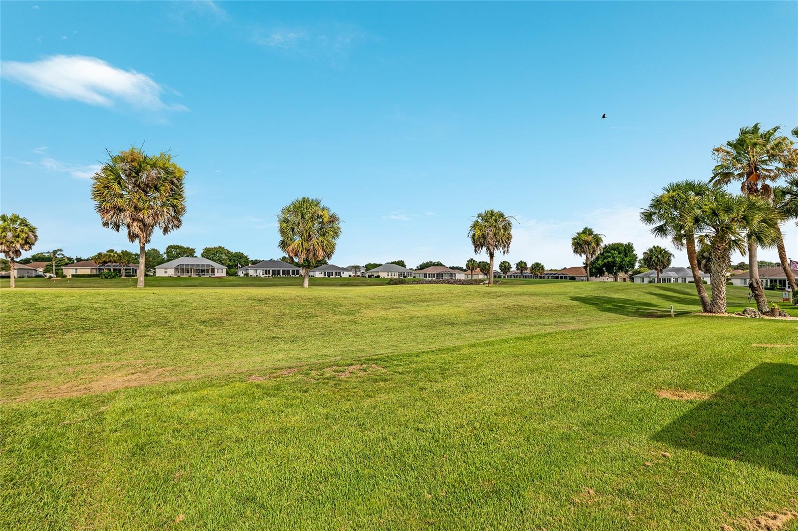 OCALA PALMS - Residential