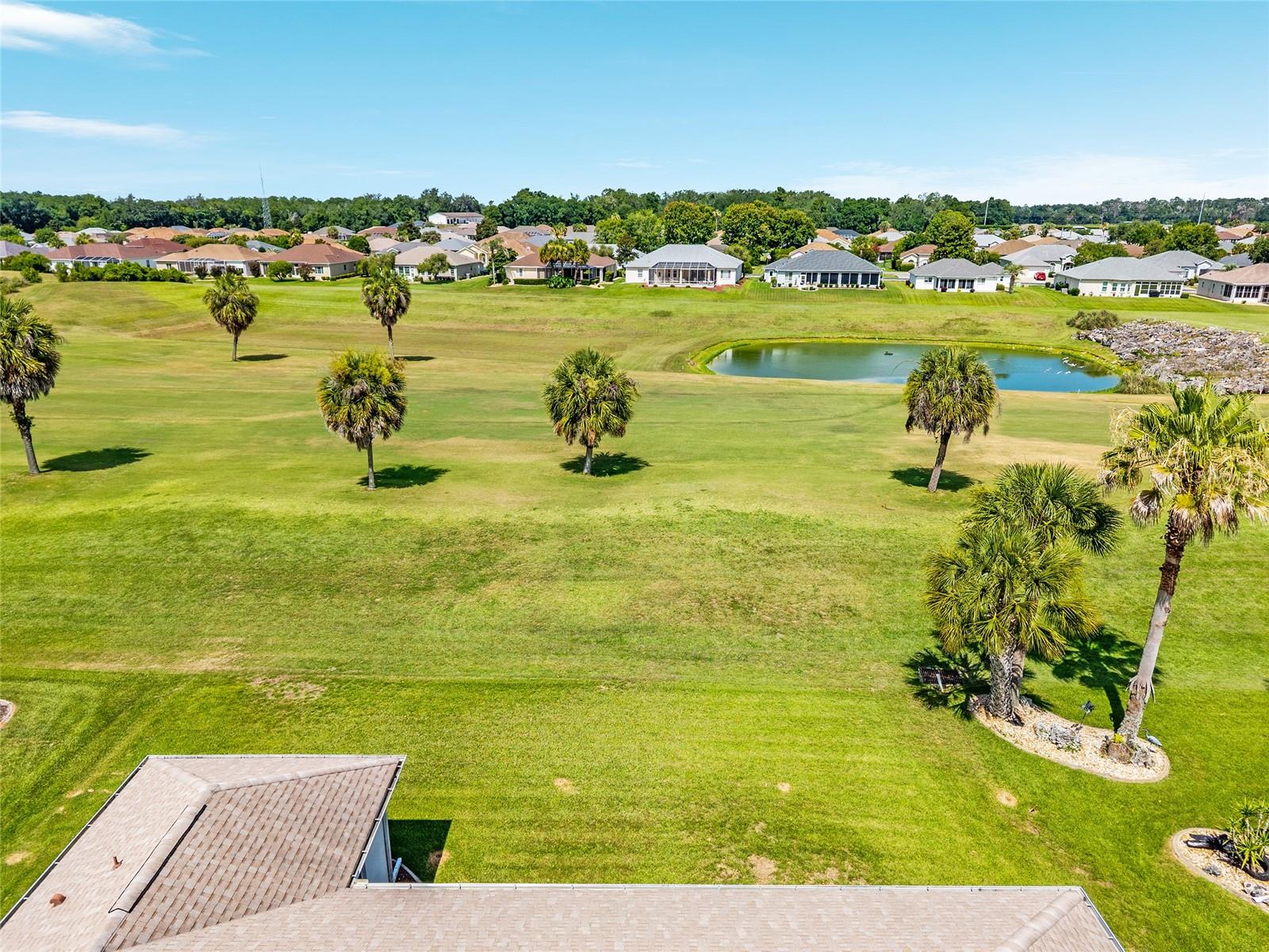 OCALA PALMS - Residential