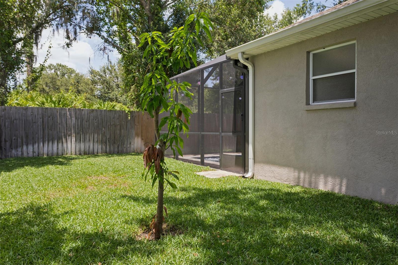 SUMMER SPGS - Residential
