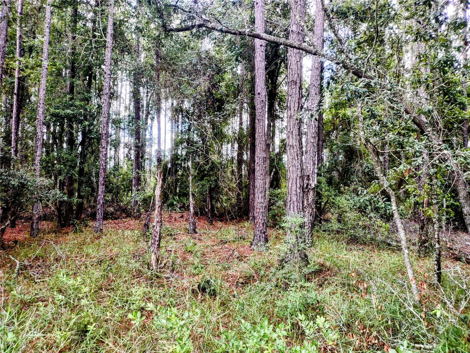 WINDING RIVER PRESERVE - Residential