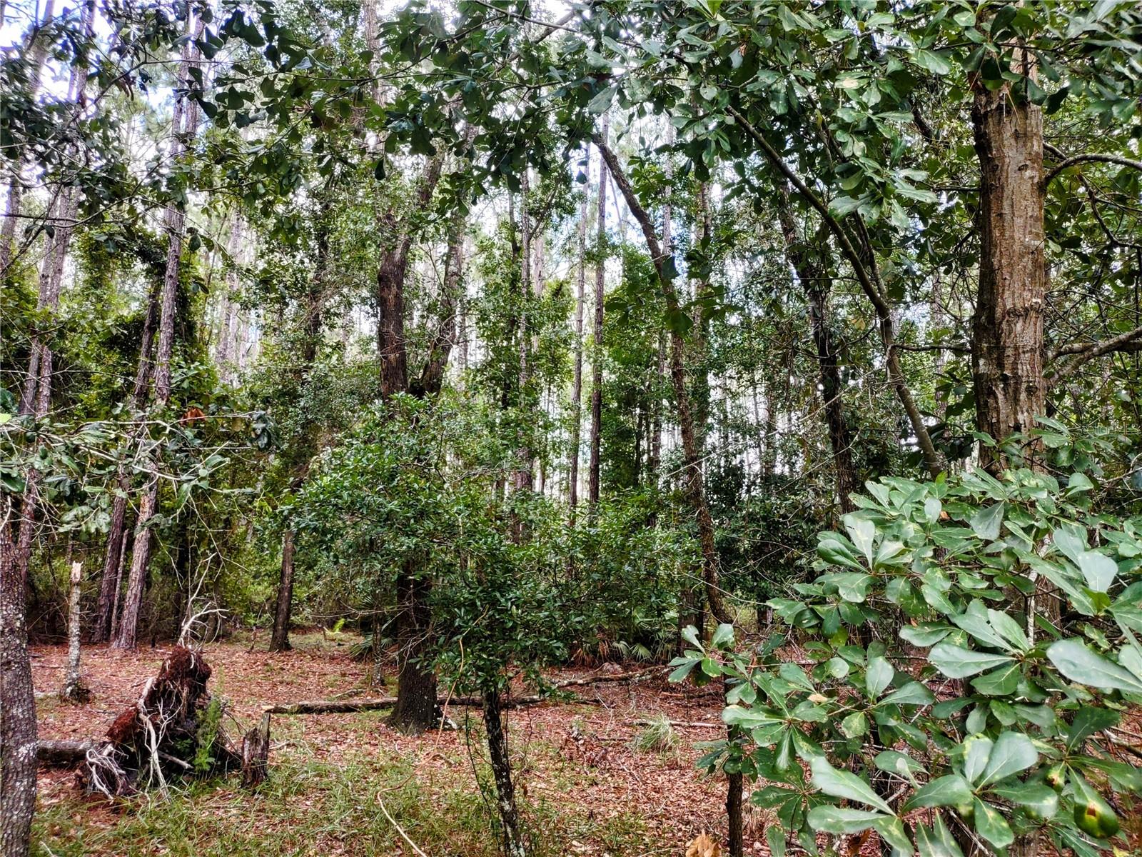 WINDING RIVER PRESERVE - Residential
