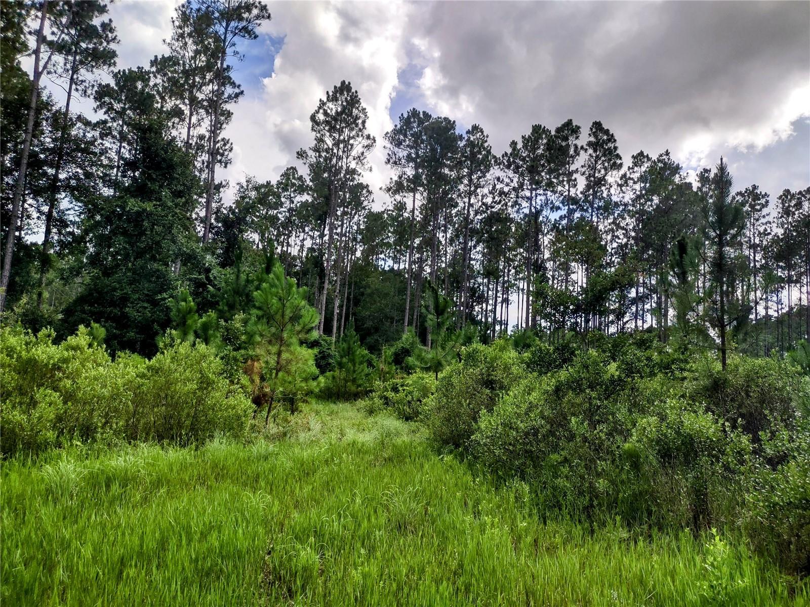 WINDING RIVER PRESERVE - Residential