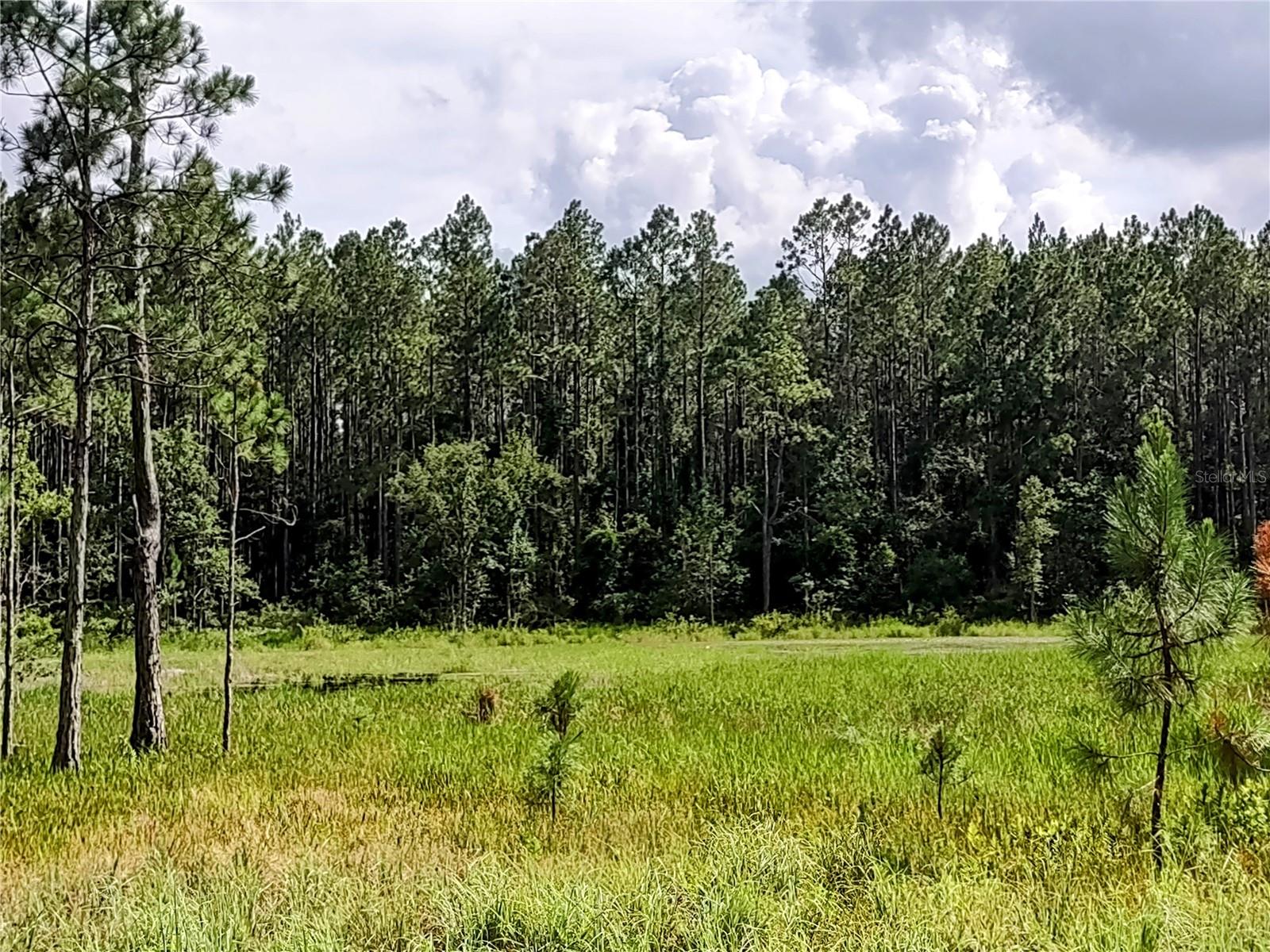 WINDING RIVER PRESERVE - Residential