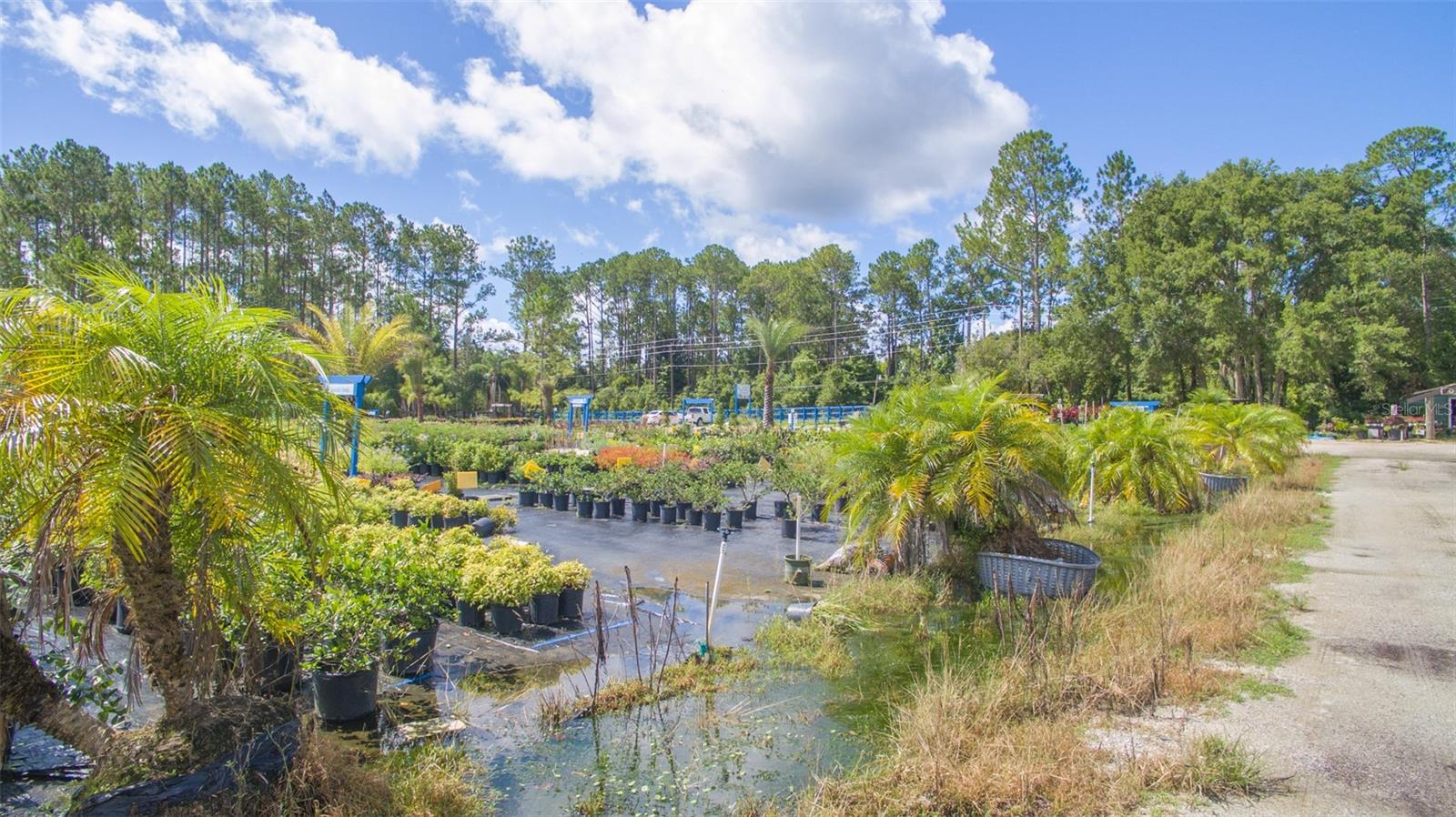 Are you looking to start a plant nursery? Here is your chance to get all the things you need to start a nursery. The assets of S&J Tree Farm property is or sale. The property is 16.86 acres with as a about 400 feet on SR 13. The property has a complete irrigation system powered by a 6 inch 10 HP well. You will get all the inventory, which is plants to trees. All the buildings and supplies are included. This property is in the heart of the new housing growth area of St Johns County on State Road 13 a little south of the Shand's bridge. Property is comprised of parcel 0121400180 and 121400200