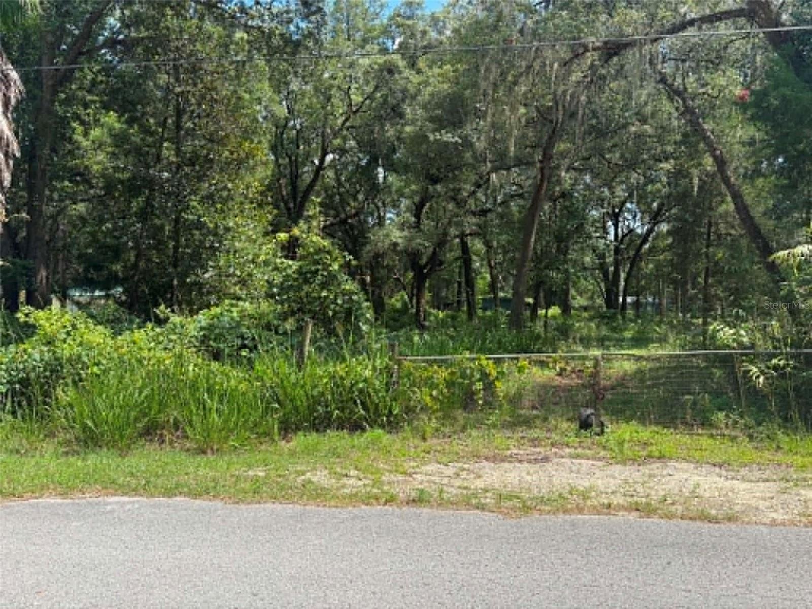 Discover the perfect place to build your dream home on this beautiful 0.70-acre fenced lot in the desirable Fanning Springs Annex community of Trenton, Florida. Offering plenty of space and privacy, this property is ready for your vision, whether you're looking for a full-time residence, a weekend getaway, or an investment opportunity. Conveniently located just minutes from the crystal-clear waters of Fanning Springs State Park and the scenic Suwannee River, you'll enjoy easy access to boating, kayaking, fishing, swimming, and year-round outdoor recreation. The property is also a short drive to Trenton, Chiefland, and Bell, where you'll find shopping, restaurants, schools, and everyday conveniences while still enjoying the peaceful charm of North Florida country living. Don't miss this opportunity to own a fenced parcel in a growing area known for its natural beauty, nearby springs, and relaxed lifestyle.