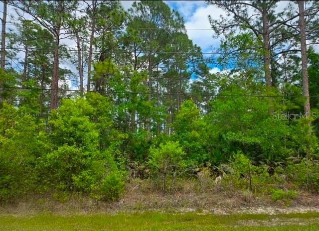 In Bunnell Florida, this 1+ buildable acre whispers possibility. Tucked within the DAYTONA NORTH SUBDIVISION, this property centers on acres of mature surroundings, with HIGH AND DRY conditions across the 1.14 acres and NO HOA to constrain your plans. NOT IN A FLOOD ZONE. A county-maintained road delivers effortless access to schools, dining, and entertainment, while a short drive opens Florida’s manifold recreational opportunities. The lot is ready for your canvas—clear boundaries, ample space, and a straightforward path to building your Florida dream home. Embrace the serenity of a quiet, nearby community that blends proximity to amenities with the freedom to design your own retreat. Contact your realtor today for more details!