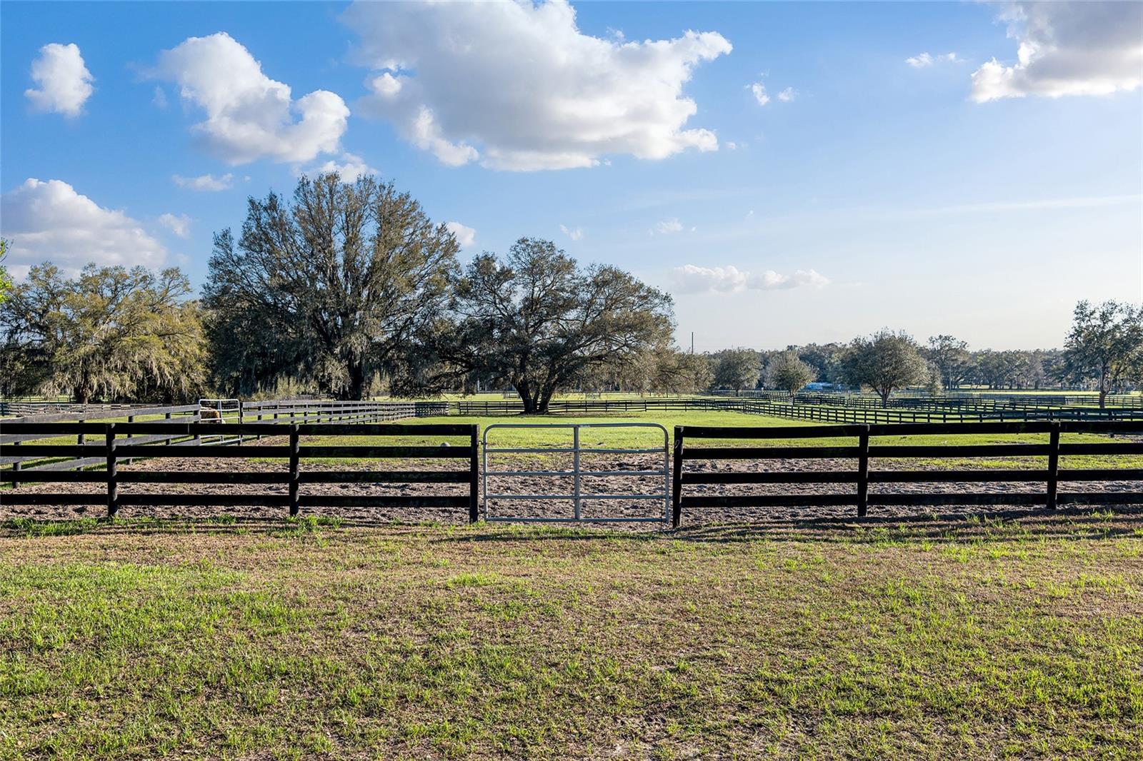 NOT IN SUBDIVISION - Residential