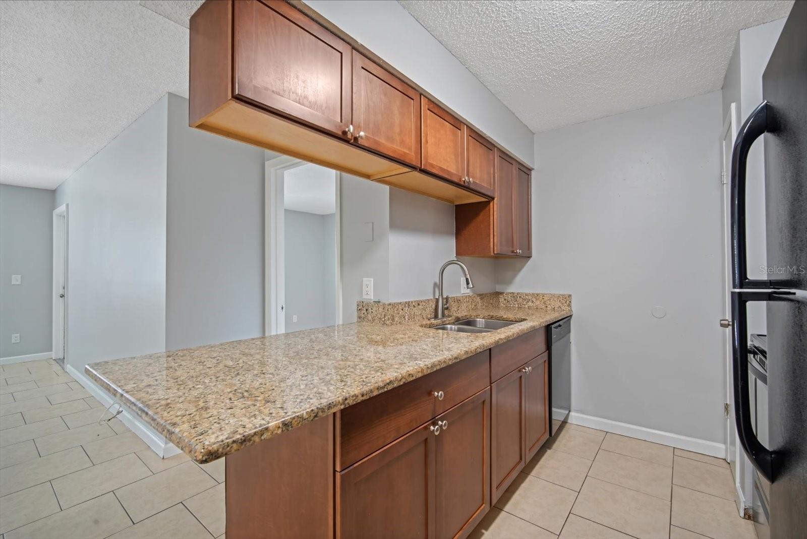 THE HAMPTONS AT BRANDON A CONDO - Residential