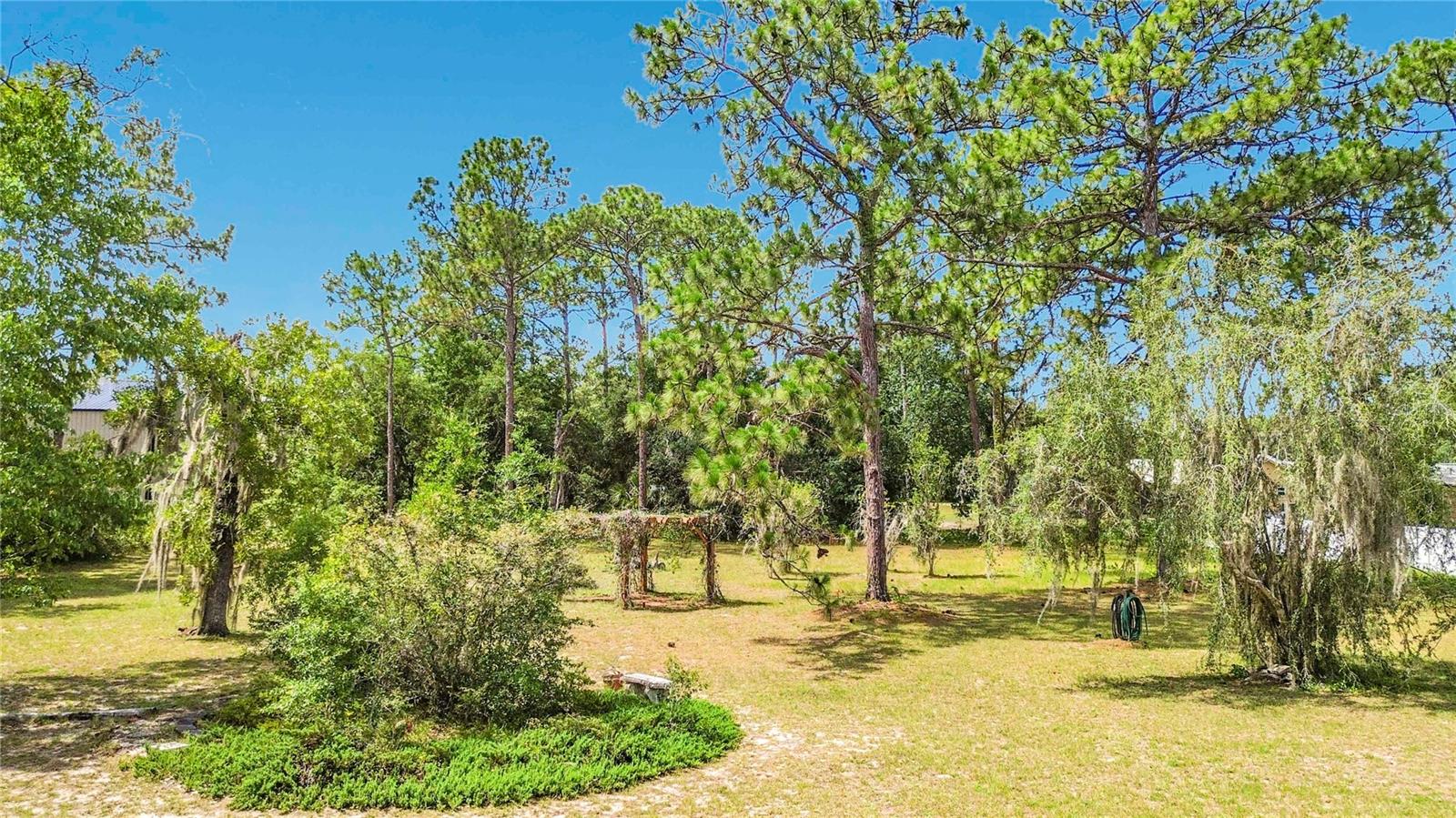 TIMBERLANE ESTATES REV - Residential