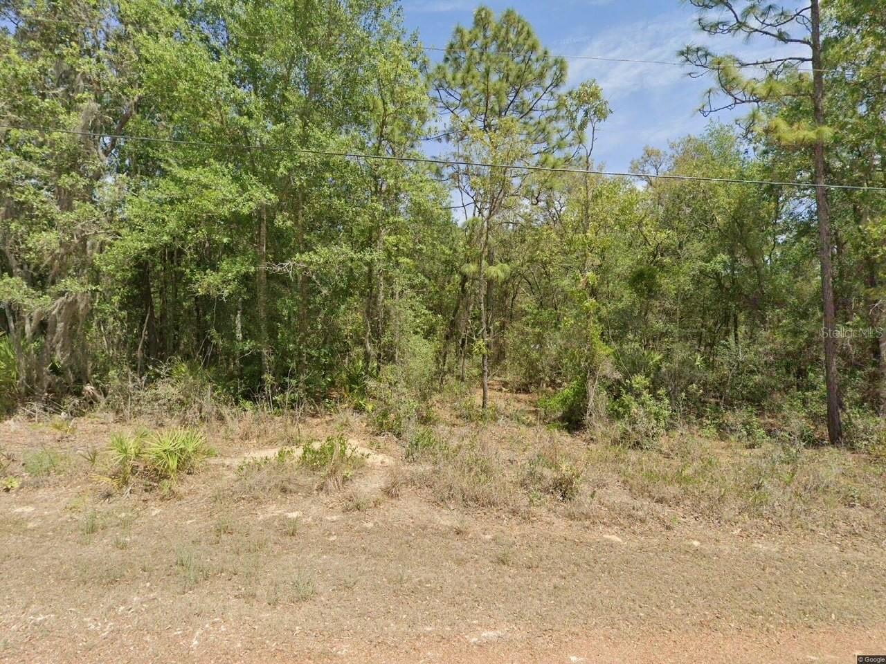 HOMOSASSA UNIT 10 - Land