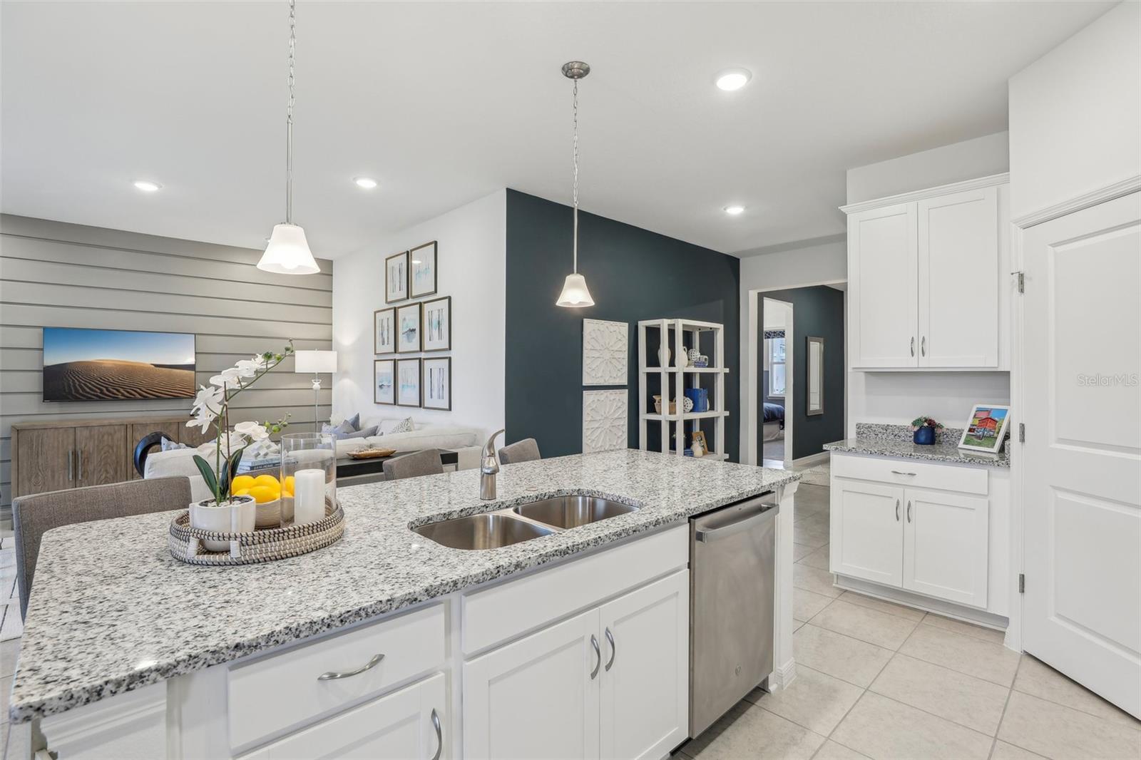 SILVER LAKE POINTE - Residential