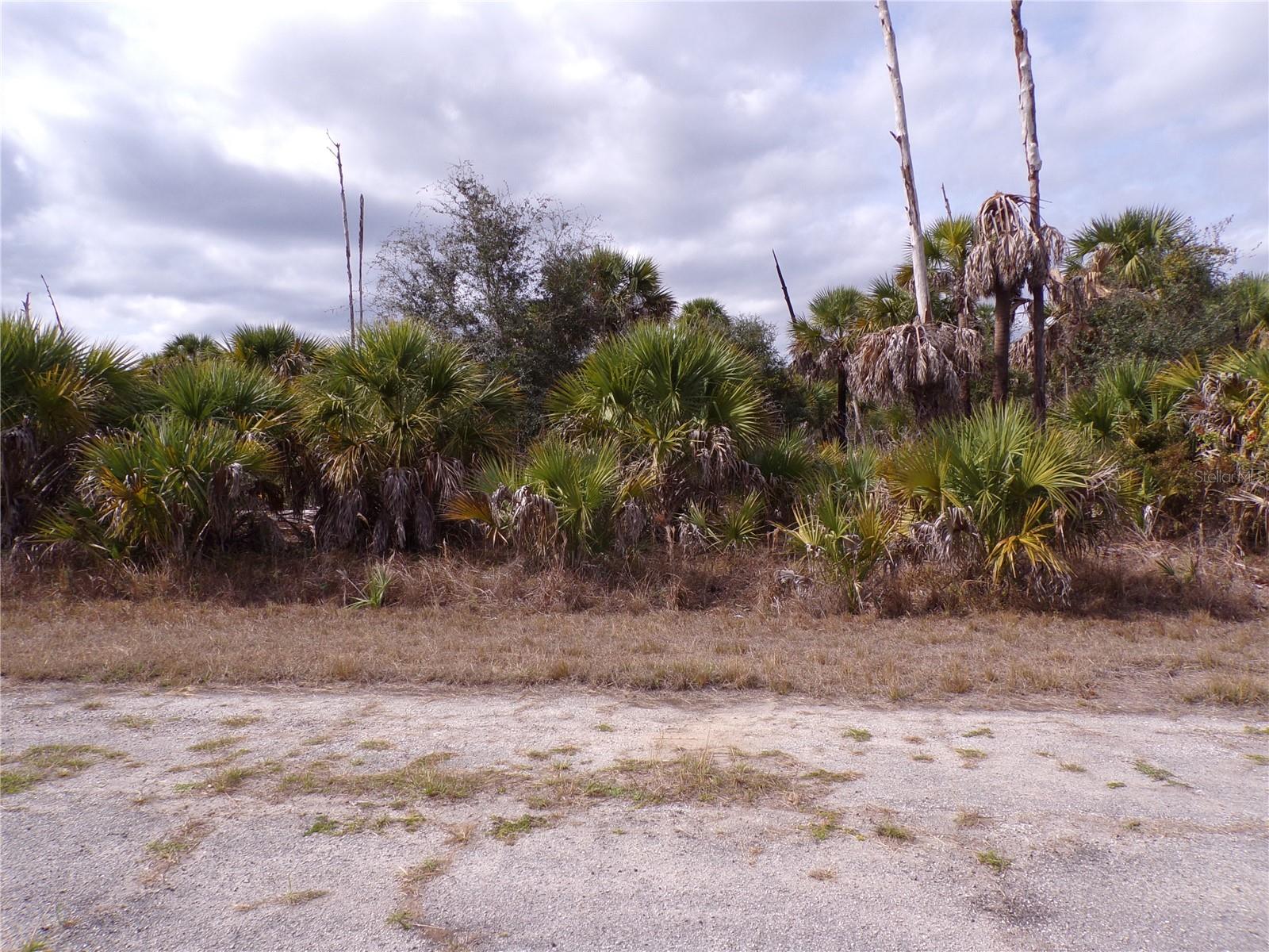 This lot is on a quiet street, that would be a great place to build your dream home and retire or raise your family. Less than 6 miles to I75 makes this location an easy commute to almost anywhere, and only 25 miles to Chadwick park at Englewood Beach with amazing sunsets, 11 miles to Cocoplum Village Shops with lots of shopping and dining options. Atlanta Braves spring training and the fairgrounds are just minutes away, also multiple golf courses and some of the best boating and fishing in all of Florida. Red Soxs, Orioles, Twins and Rays spring training all within an hour’s drive. Buyer and buyers’ reps are responsible for determining environmental conditions and endangered species restrictions. This lot is priced to sell so please call for availability! This lot is at a great price point for the investor call today.